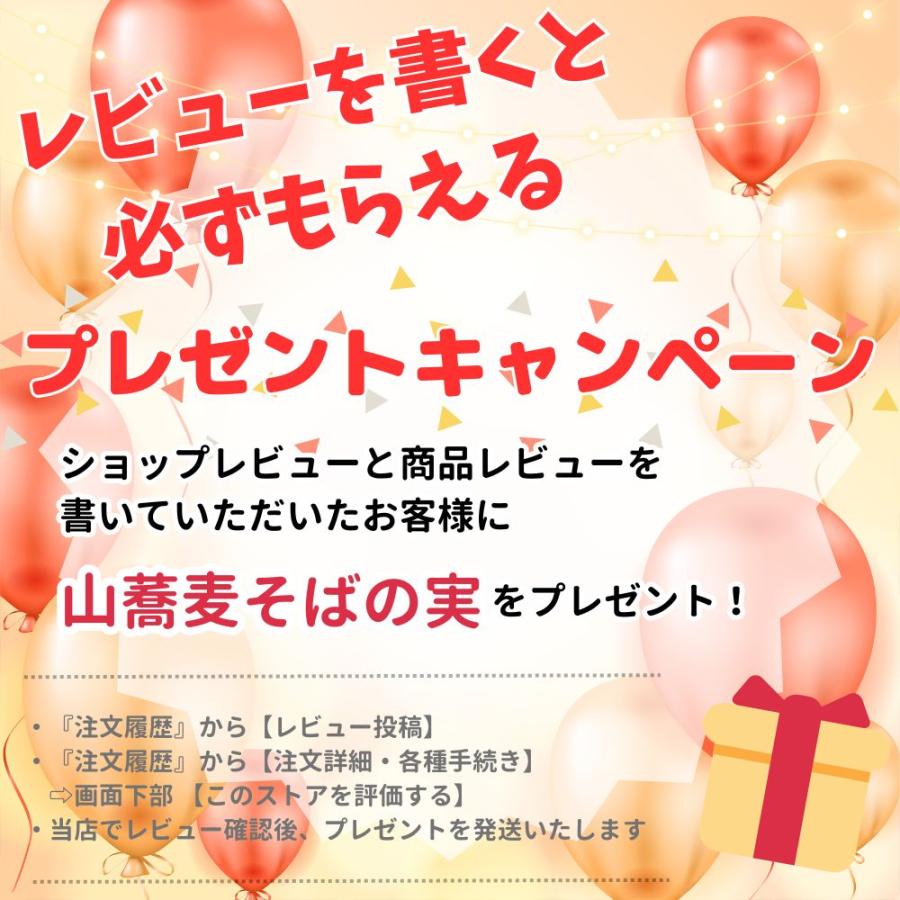 【業務用】 10kg (そば粉 二八そば粉 そばの実) どれかひとつをお選びください お徳用 北海道 深川市多度志産 国産 高級蕎麦粉 石臼挽き 風味豊か 送料無料 |  | 17