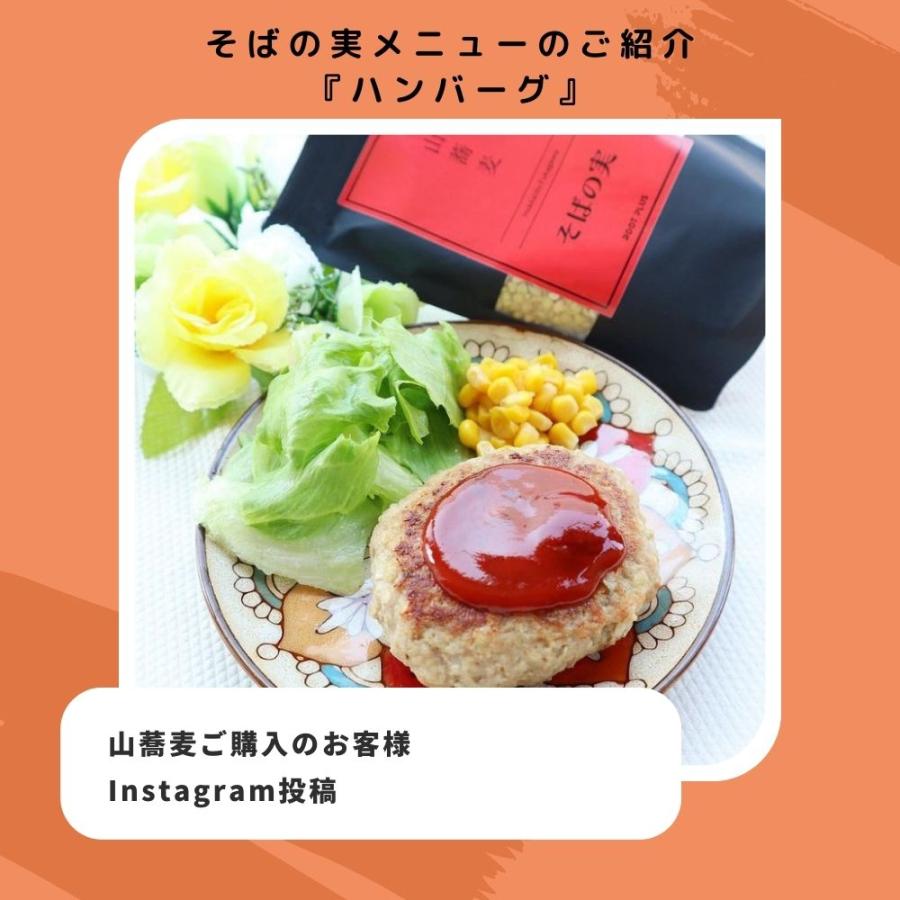 山蕎麦 そばの実 900g 北海道 深川市多度志産 健康維持食品 スーパーフード レジスタントプロテイン ルチン グルテンフリー 【送料無料メール便配送】 |  | 11