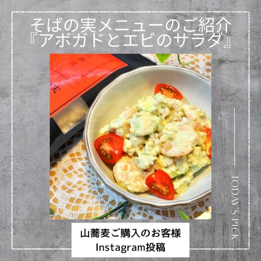 山蕎麦 そばの実 900g 北海道 深川市多度志産 健康維持食品 スーパーフード レジスタントプロテイン ルチン グルテンフリー 【送料無料メール便配送】 |  | 14