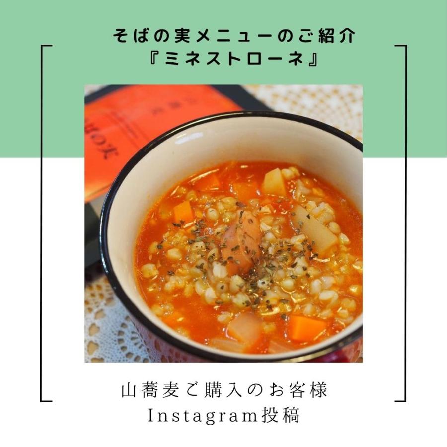 山蕎麦 そばの実 900g 北海道 深川市多度志産 健康維持食品 スーパーフード レジスタントプロテイン ルチン グルテンフリー 【送料無料メール便配送】 |  | 09