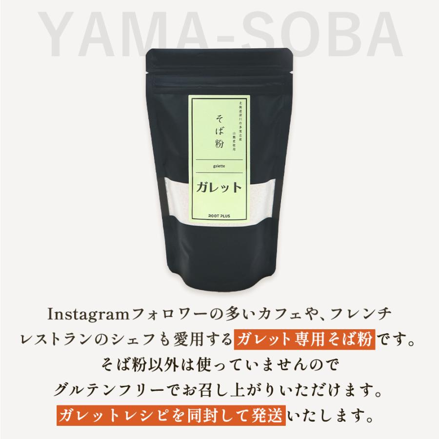 田舎風そば粉 500g 北海道 深川市多度志産 山蕎麦 国産 蕎麦粉 石臼挽き 挽きぐるみ 風味豊か ガレット グルテンフリー 保存料無添加 送料無料メール便 |  | 19