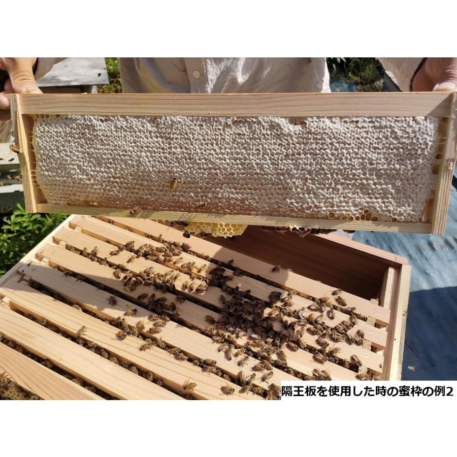 西洋ミツバチ 隔王板 10枚箱用 : 山田くんの養蜂場 - 通販 - Yahoo 