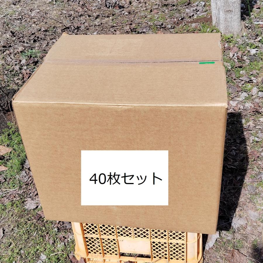 西洋ミツバチ ホ式 巣礎付き巣枠 40枚セット : 山田くんの養蜂場