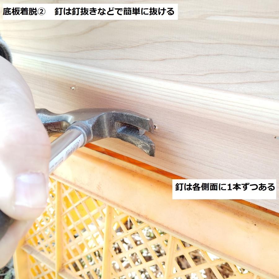 西洋ミツバチ巣箱 山田くんのミツバチ巣箱 10枚タイプ : 山田くんの