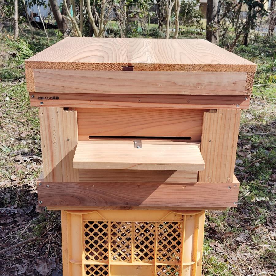西洋ミツバチ巣箱 山田くんのミツバチ巣箱 10枚タイプ : 山田くんの