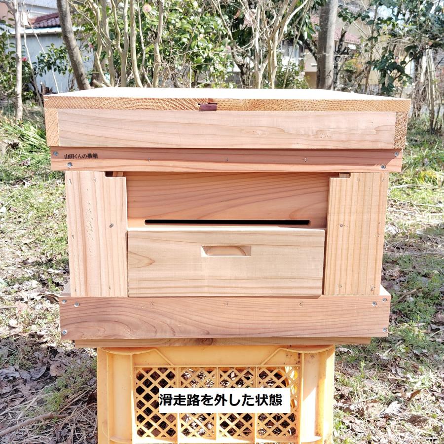 西洋ミツバチ巣箱 山田くんのミツバチ巣箱 10枚タイプ : 山田くんの