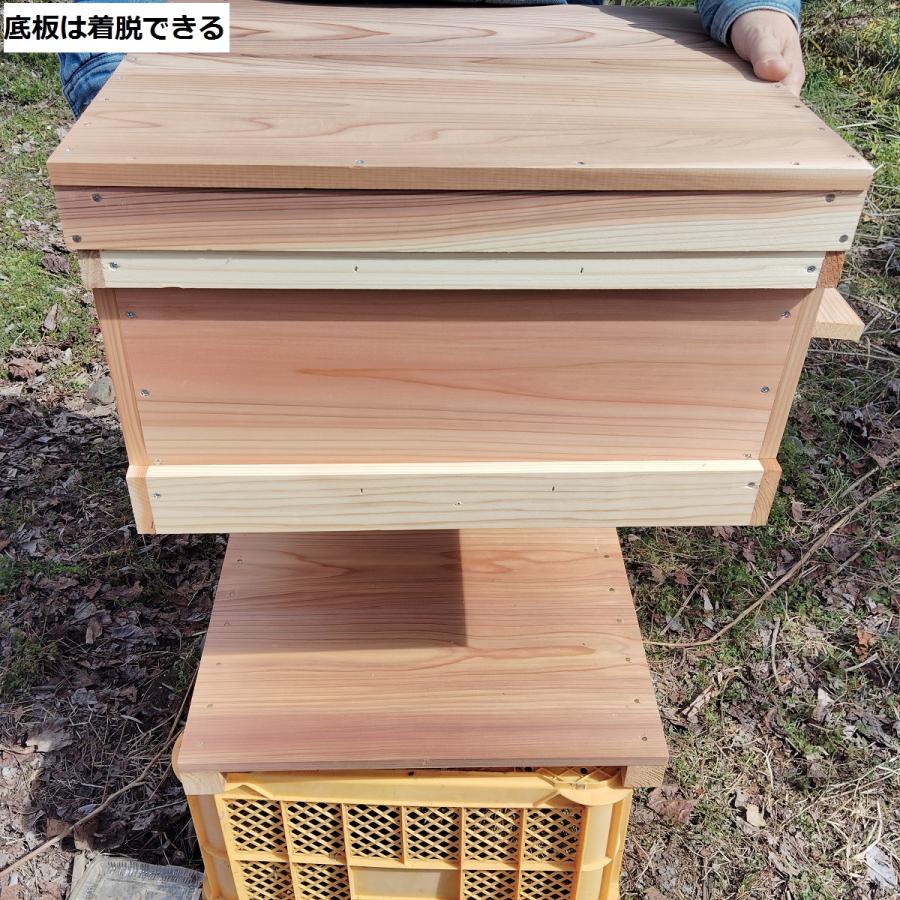 西洋ミツバチ巣箱 山田くんのミツバチ巣箱 10枚タイプ : 山田くんの 