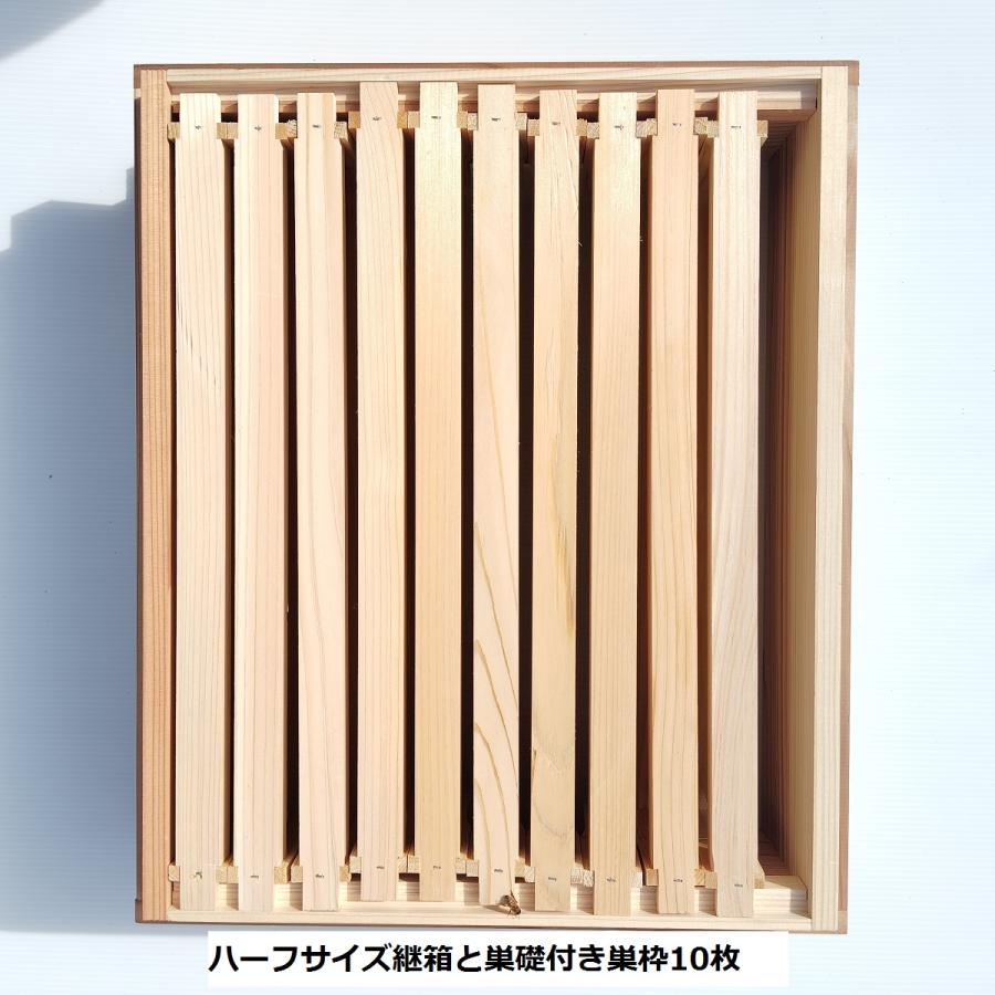 西洋ミツバチ巣箱　4枚掛蜂蜜分離器　採蜜器 西洋ミツバチ 初めての採蜜までセット : 山田くんの養蜂場 - 通販