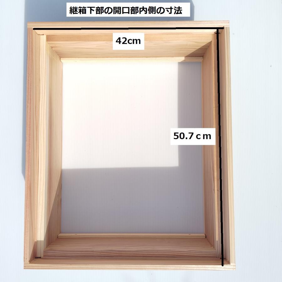 西洋ミツバチ 継箱ハーフサイズ10枚箱用 ハーフサイズ巣礎付き巣 西洋ミツバチ 継箱ハーフサイズ10枚箱用 ハーフサイズ巣礎付き巣