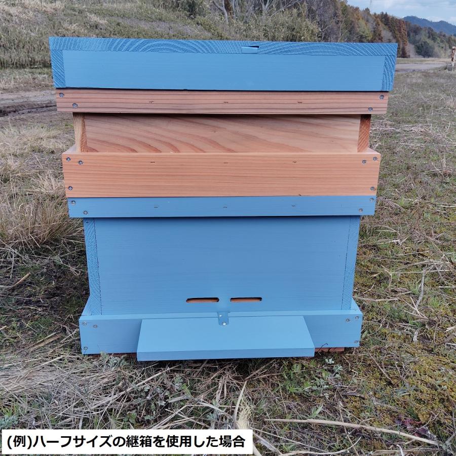 西洋ミツバチ巣箱 山田くんのミツバチカラフル巣箱 10枚タイプ 青色