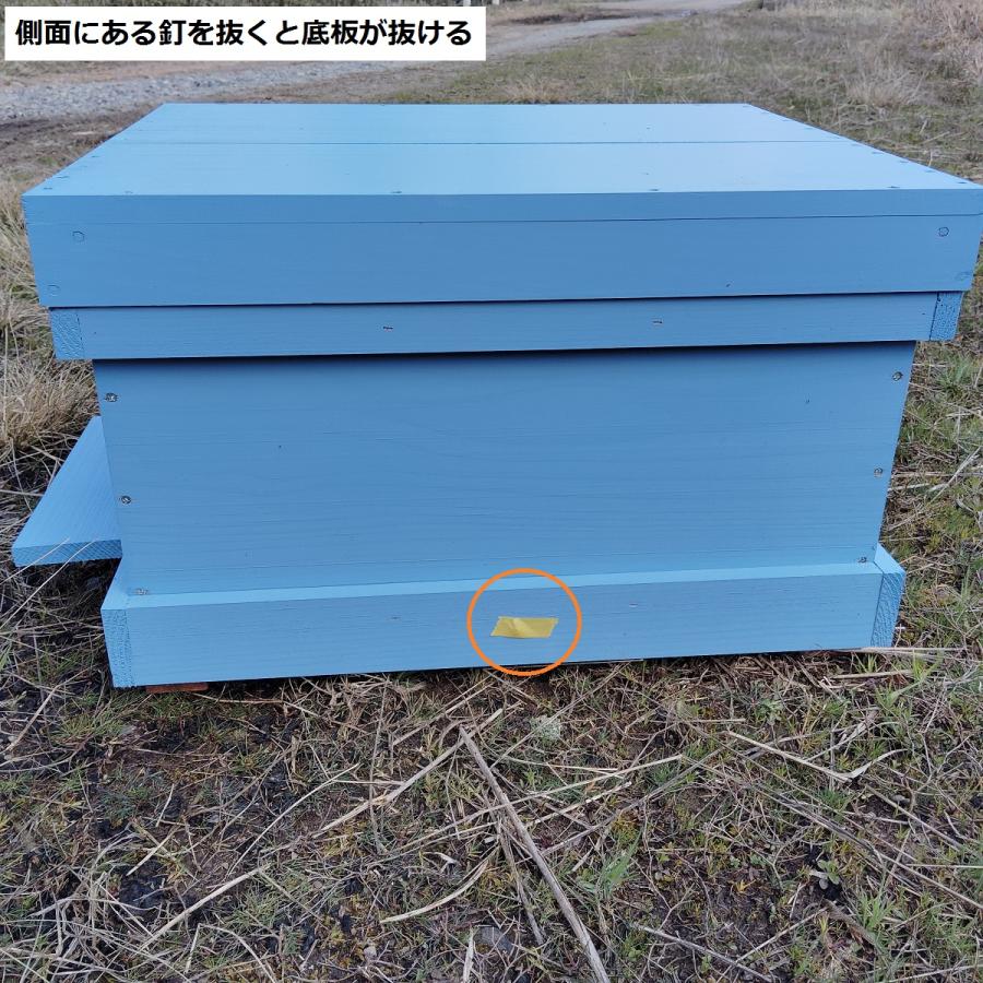 西洋ミツバチ巣箱 山田くんのミツバチカラフル巣箱 10枚タイプ 青色