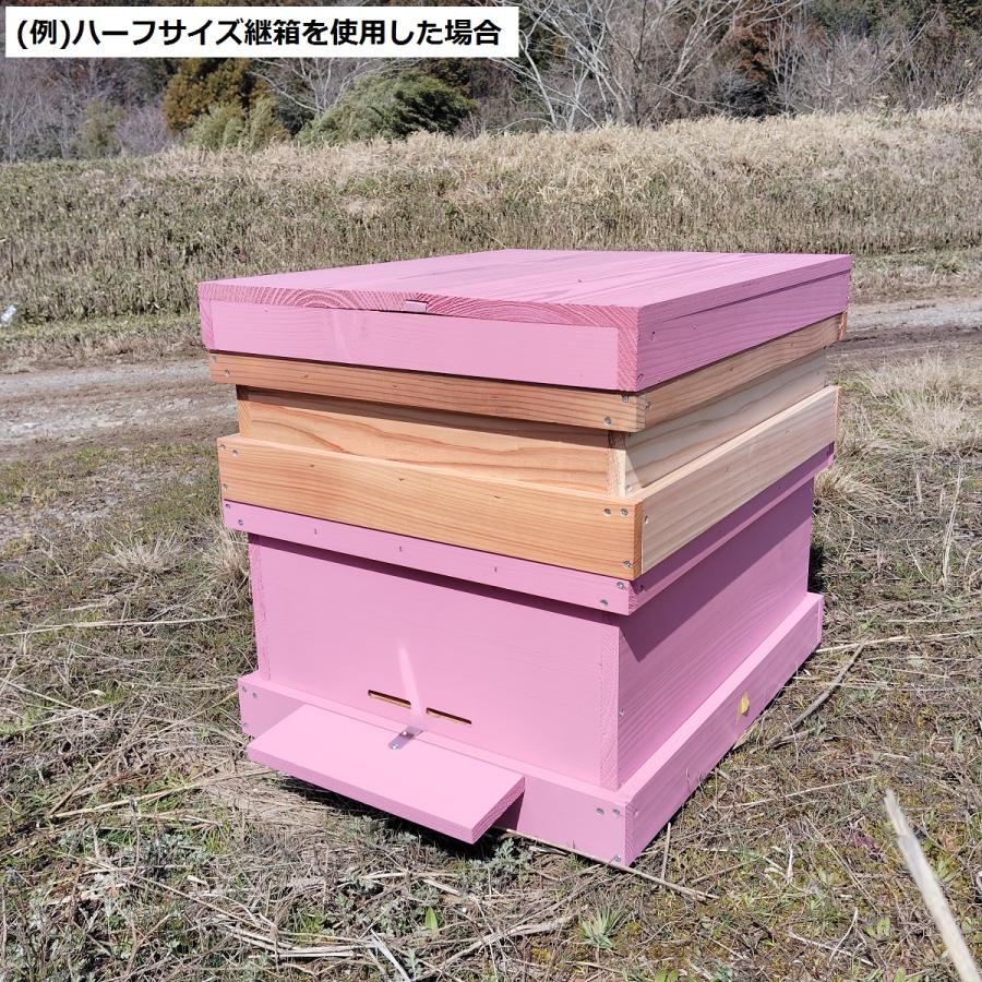 西洋ミツバチ巣箱 山田くんのミツバチカラフル巣箱 10枚タイプ ピンク