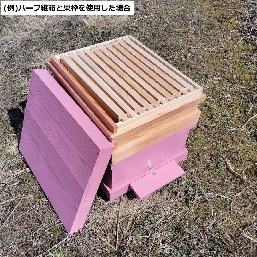 西洋ミツバチ巣箱 山田くんのミツバチカラフル巣箱 10枚タイプ ピンク