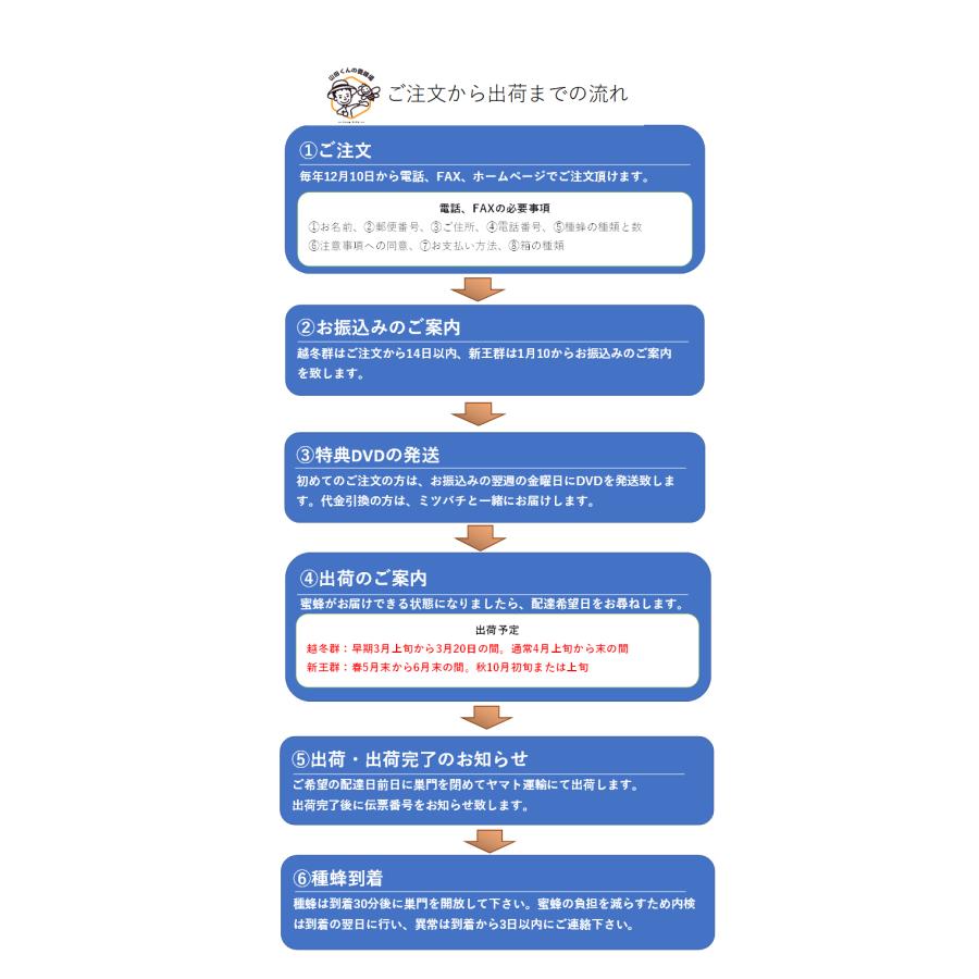 西洋ミツバチ 種蜂 新王4枚群 巣礎枠1枚、入門編DVD ミツバチ巣箱従来