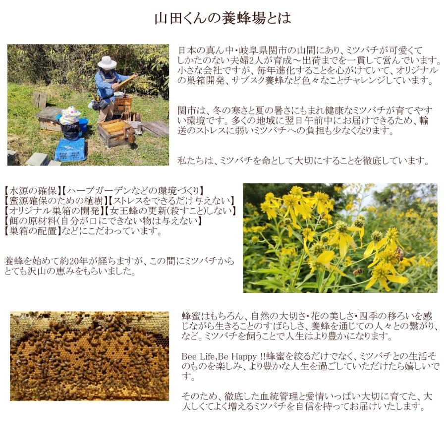 四季の養蜂 DVD 4枚組 DVDBOX 『四季の養蜂』 【飼育実践講座】 - フルサワ蜂産 【 みつばち