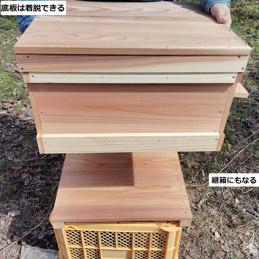 西洋ミツバチ 種蜂 新王6枚群 巣礎枠1枚 山田くんのミツバチ巣箱10枚
