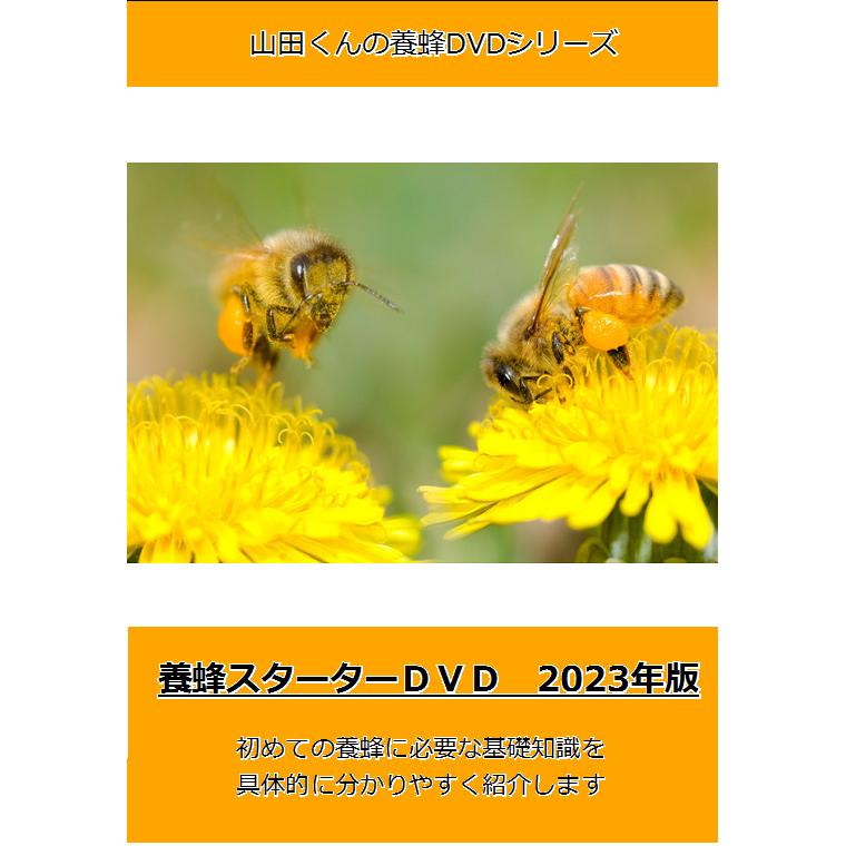 西洋ミツバチ 種蜂 新王6枚　巣礎枠1枚 ミツバチの従来型巣箱10枚タイプと入門編DVD付き｜roots-pb｜13