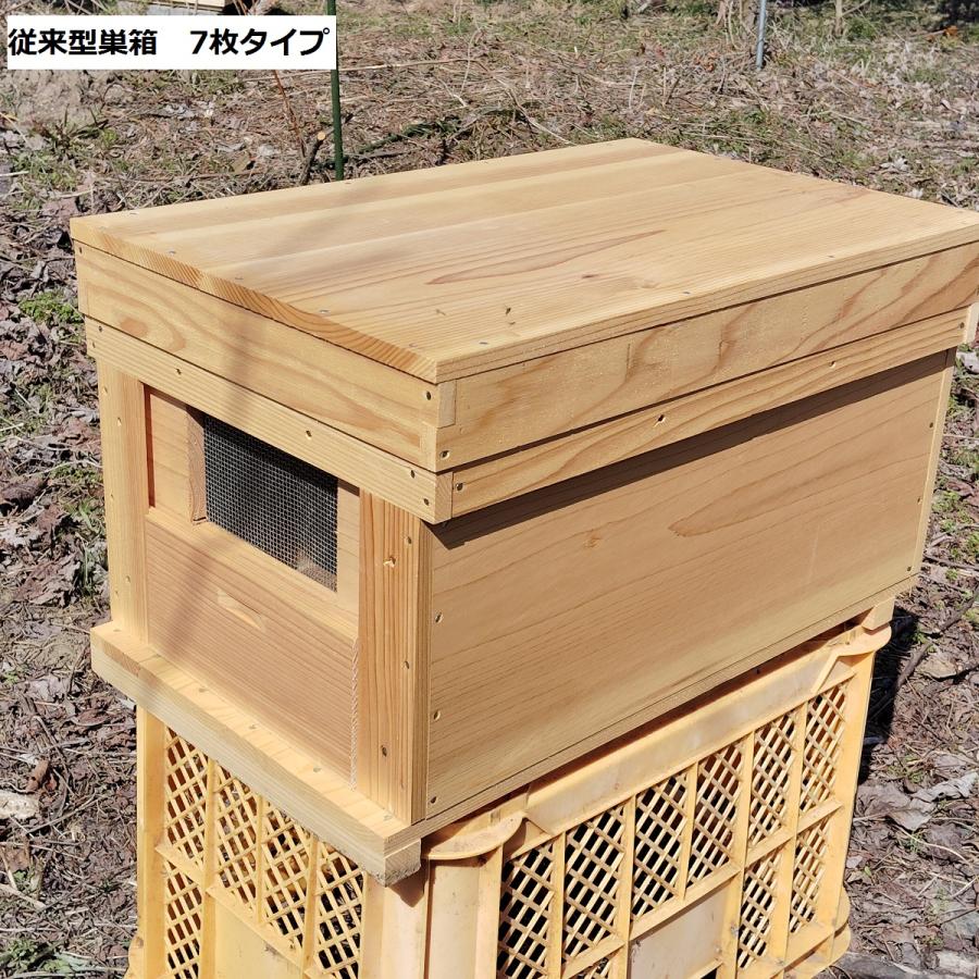 西洋ミツバチ 種蜂 新王6枚 巣礎枠1枚 ミツバチの従来型巣箱10枚タイプ