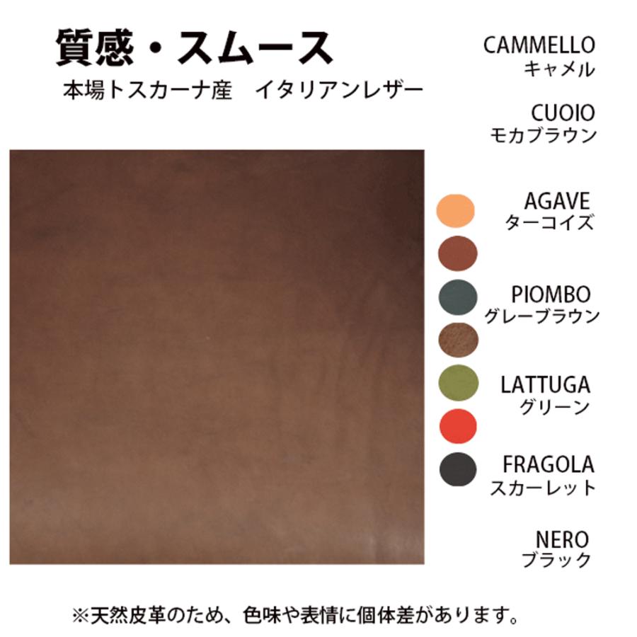 NORTH LEAF（ノースリーフ） Ploom AURA ケース プルームオーラ専用
