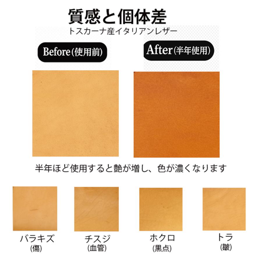 NORTH LEAF（ノースリーフ） Ploom AURA ケース プルームオーラ専用