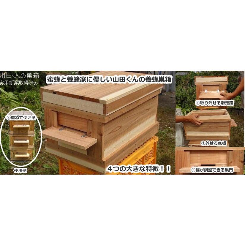 山田くんの種蜂 新王5枚群 山田くんの巣箱入り 4 山田くんの養蜂場 西洋蜜蜂販売店 通販 Yahoo ショッピング