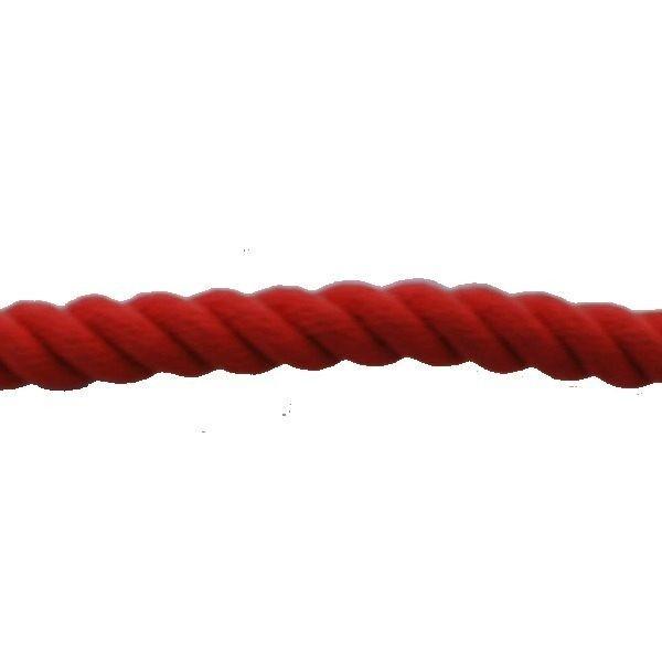 ターザンロープ カラー 登り綱 リプロン赤 24mm×3m DIY 家庭用