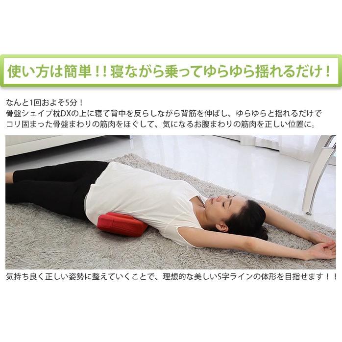 福辻式 寝ながら骨盤シェイプ枕dx 102 ロッピング ヤフー店 通販 Yahoo ショッピング