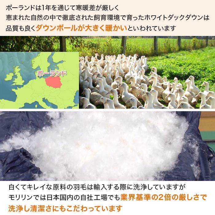 モリリン ポーランド産ホワイトダックダウン高級羽毛掛け布団 モリリン ポーランド産ホワイトダックダウン高級羽毛掛け布団