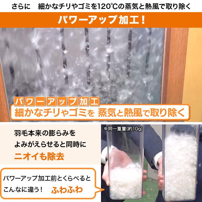 モリリン ポーランド産ホワイトダックダウン高級羽毛掛け布団 モリリン ポーランド産ホワイトダックダウン高級羽毛掛け布団