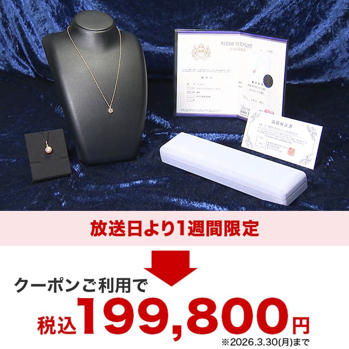 オール純金1ctダイヤモンドペンダント特別セット じゅん散歩 テレビ朝日 テレ朝通販 ロッピング |  | 07
