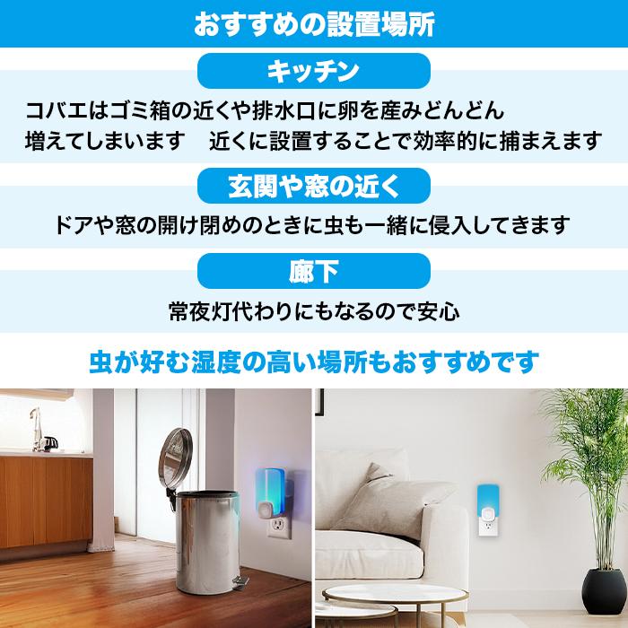 6月21日まで2セット同時購入で1960円OFF】【期間限定】MAXSTEM ライト