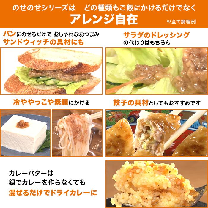 のせのせシリーズ バラエティセット ニッポンめしあがれ テレビ朝日 テレ朝通販 ロッピング ごはんのおとも しょうゆ 辛子明太子 カレー さば |  | 07