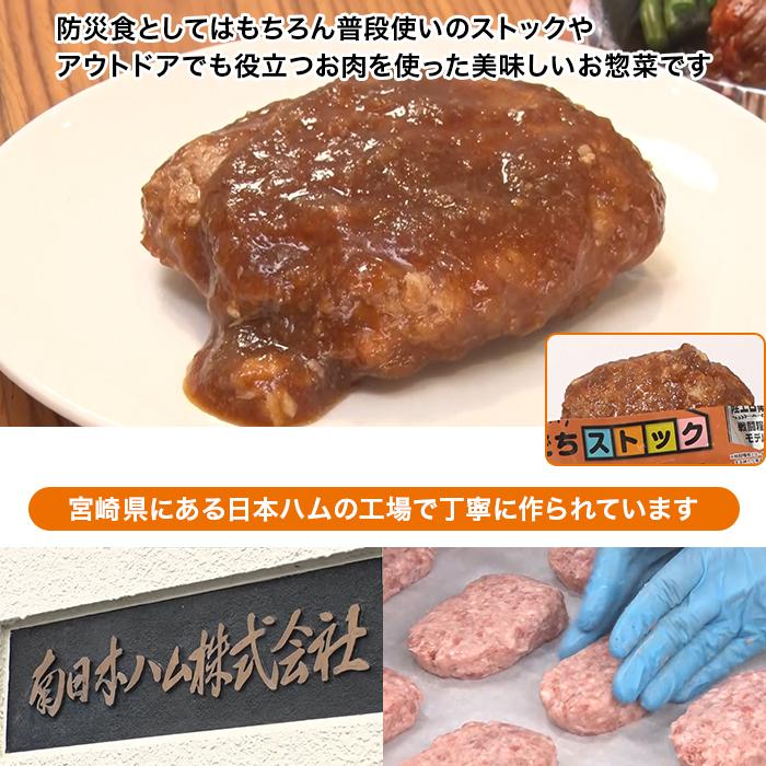 日本ハム 陸上自衛隊戦闘糧食モデル防災食 10食特別セット ニッポンめしあがれ テレビ朝日 テレ朝通販 ロッピング 4年保存 常温 |  | 03