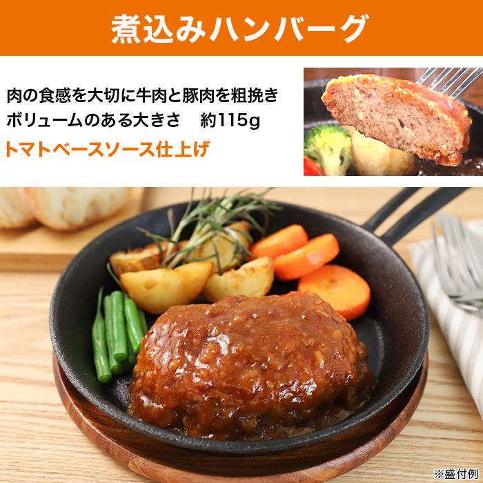 日本ハム 陸上自衛隊戦闘糧食モデル防災食 10食特別セット ニッポンめしあがれ テレビ朝日 テレ朝通販 ロッピング 4年保存 常温 |  | 04