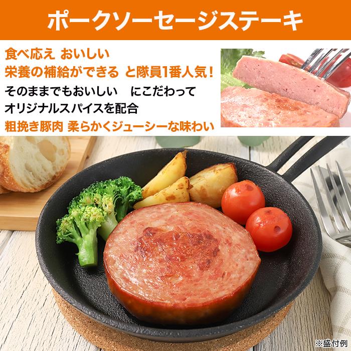 日本ハム 陸上自衛隊戦闘糧食モデル防災食 10食特別セット ニッポンめしあがれ テレビ朝日 テレ朝通販 ロッピング 4年保存 常温 |  | 05