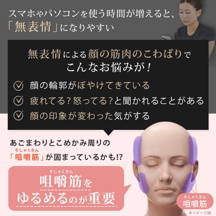 NIPLUX ビガン 今田通販 テレビ朝日 テレ朝通販 ロッピング 美顔ケア リフトケア 表情筋 頭筋 電動ハリ型 |  | 04
