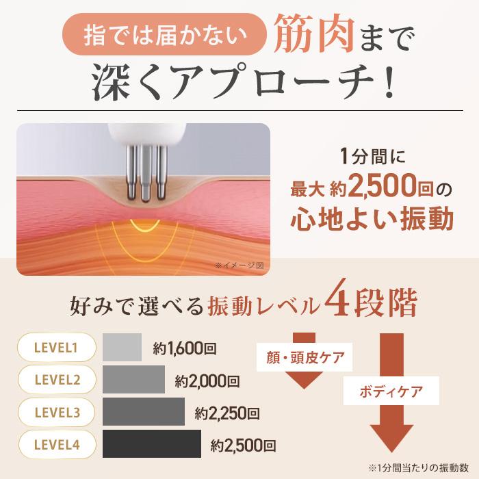 NIPLUX ビガン 今田通販 テレビ朝日 テレ朝通販 ロッピング 美顔ケア リフトケア 表情筋 頭筋 電動ハリ型 |  | 07