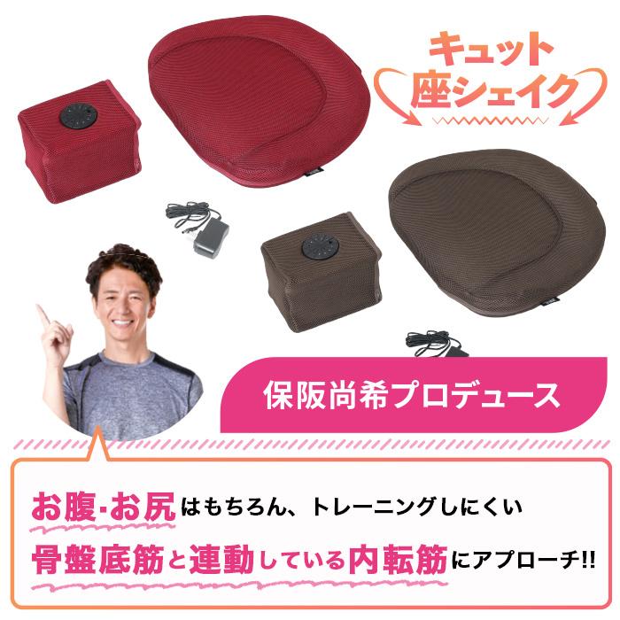 保阪流ウェルネス 内転筋トレーニング キュット座シェイク じゅん散歩