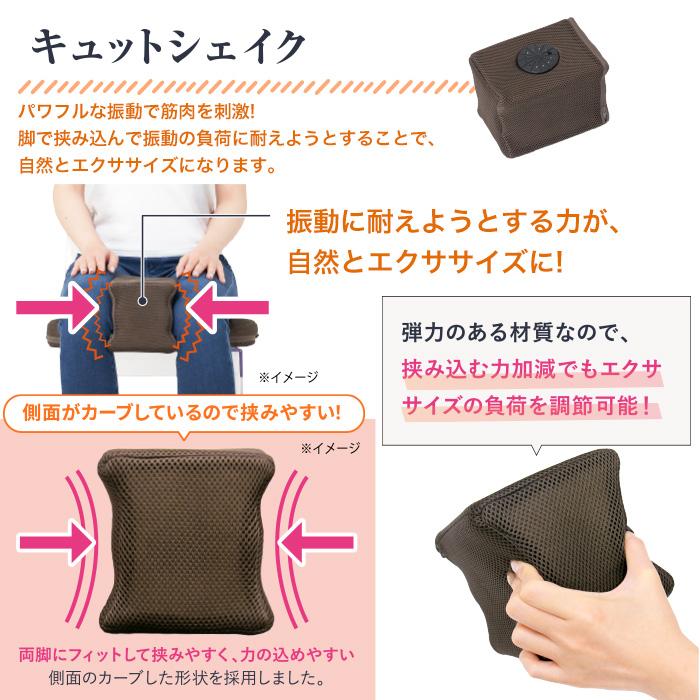 保阪流ウェルネス 内転筋トレーニング キュット座シェイク じゅん散歩