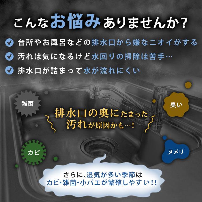 業務用カビ・ヌメリクリーナー【排水口キレイ プラス】大容量 通販