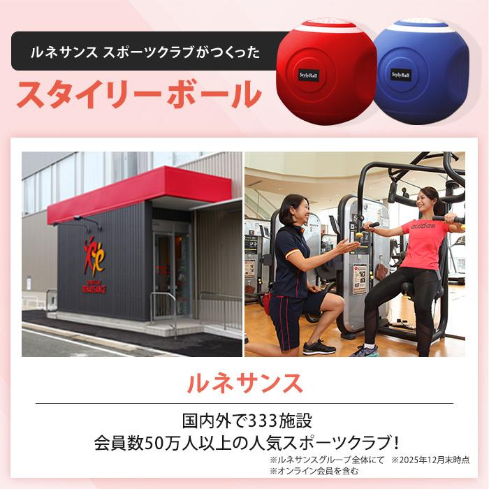 未使用品　ルネサンス スポーツクラブがつくったスタイリーボール　SLB-100 ルネサンス スポーツクラブがつくったスタイリーボール じゅん散歩