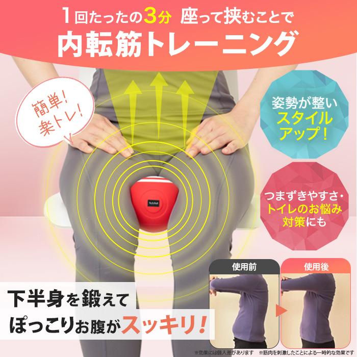 ルネサンス スポーツクラブがつくったスタイリーボール 通販スクープ