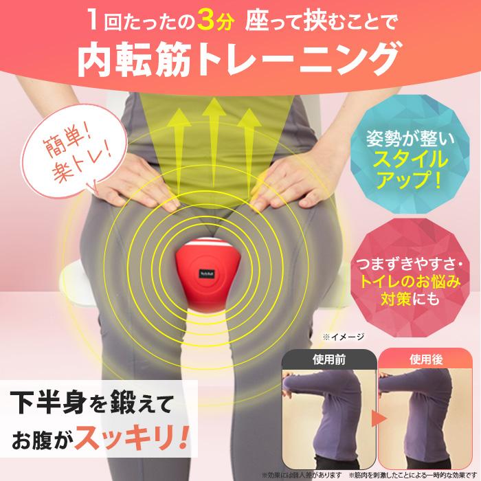 ルネサンス スポーツクラブがつくったスタイリーボール 今田通販