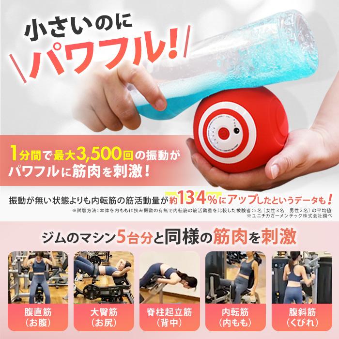 ルネサンス スポーツクラブがつくったスタイリーボール 通販スクープ