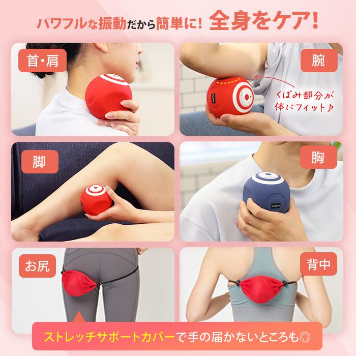 ルネサンス スポーツクラブがつくったスタイリーボール 今田通販