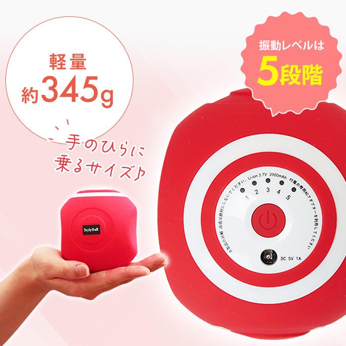 未使用品　ルネサンス スポーツクラブがつくったスタイリーボール　SLB-100 ルネサンス スポーツクラブがつくったスタイリーボール バス旅 テレ朝