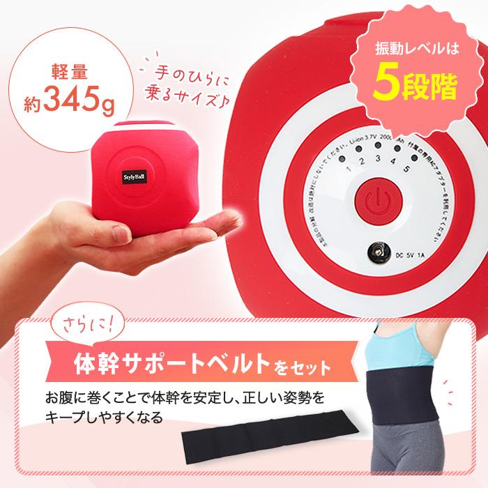 ルネサンス スポーツクラブがつくったスタイリーボール 今田通販