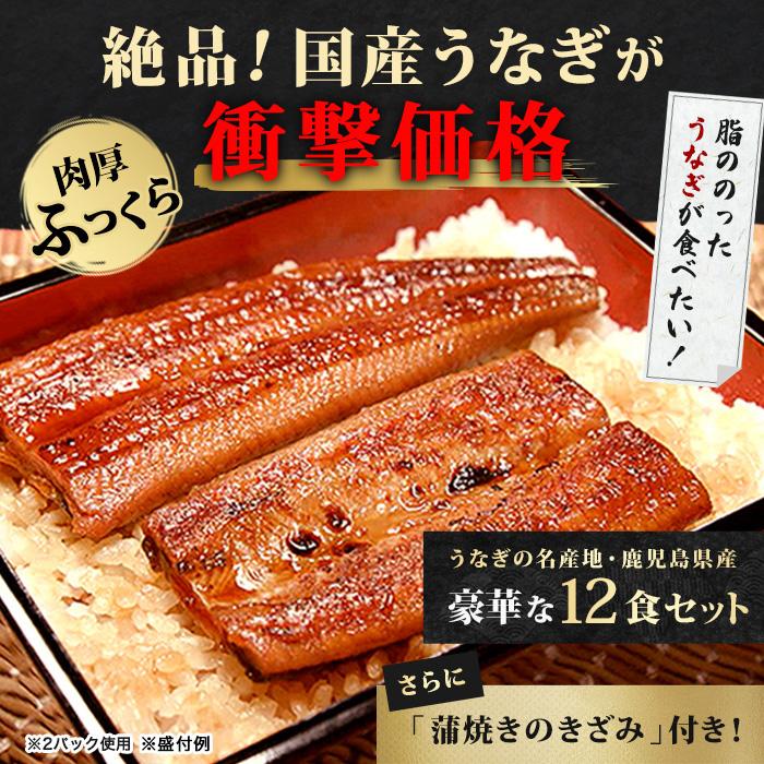 【うなぎじゅん】 鹿児島県産うなぎ12食セット＆きざみ付き じゅん散歩 テレビ朝日