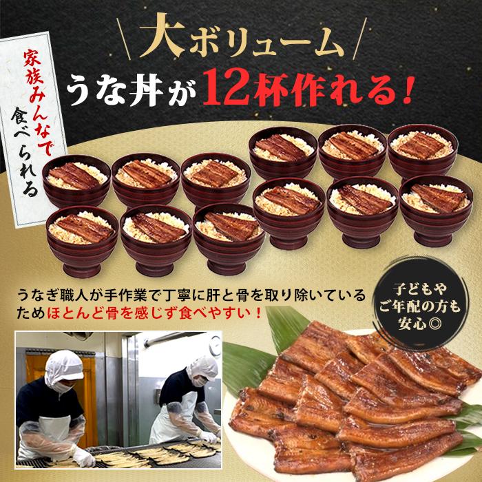 鹿児島県産うなぎ12食セット＆きざみ付き じゅん散歩 テレビ朝日