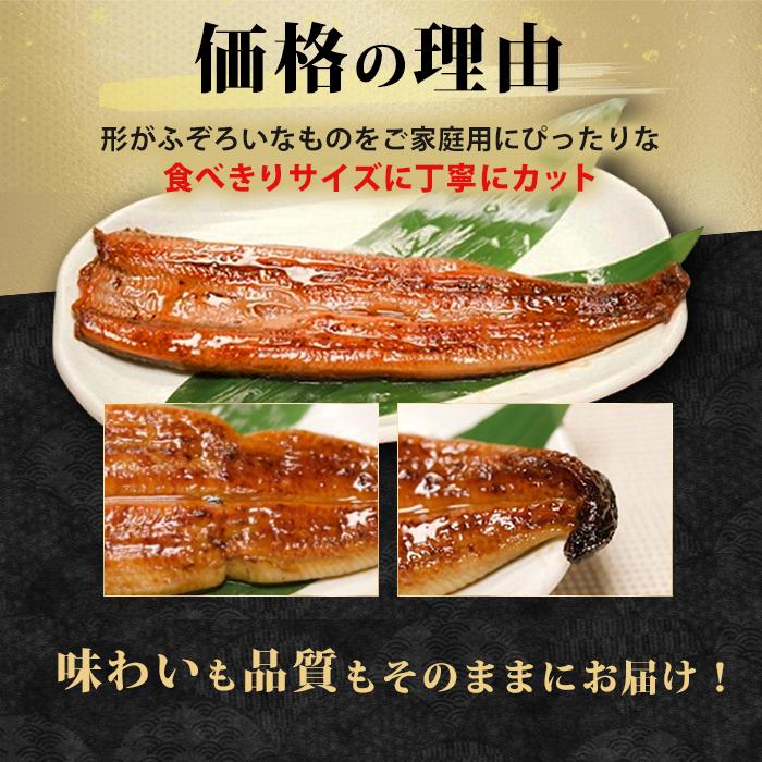 鹿児島県産うなぎ12食セット＆きざみ付き じゅん散歩 テレビ朝日